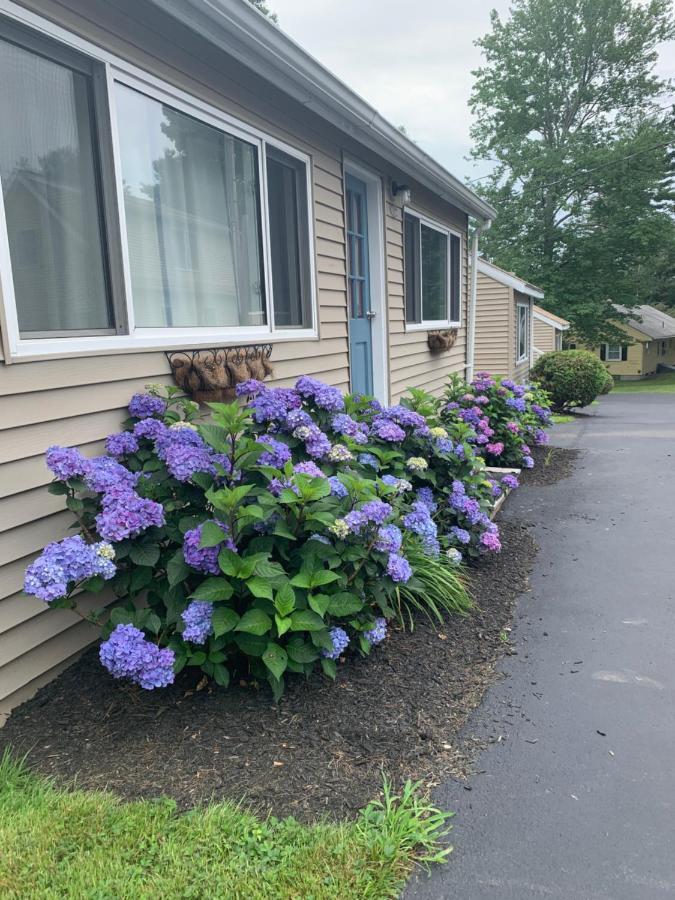 Northeaster Motel Kittery Eksteriør bilde